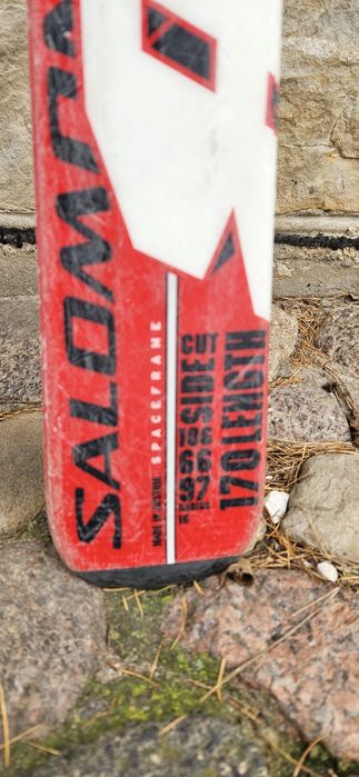 Narty Salomon 170, Elan 152, Fischer Tyrolia, Gforce