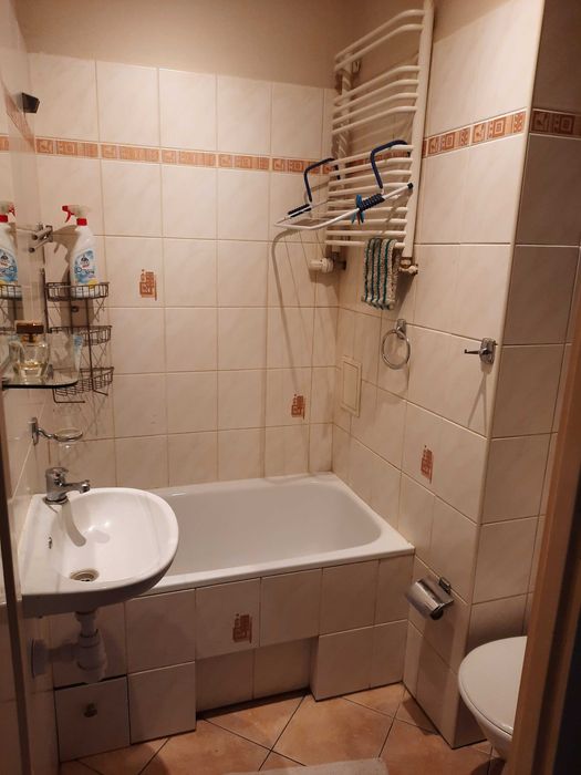 Apartment in Toruń, Przedmieście Świętej Katarzyny, Stare Miasto - More