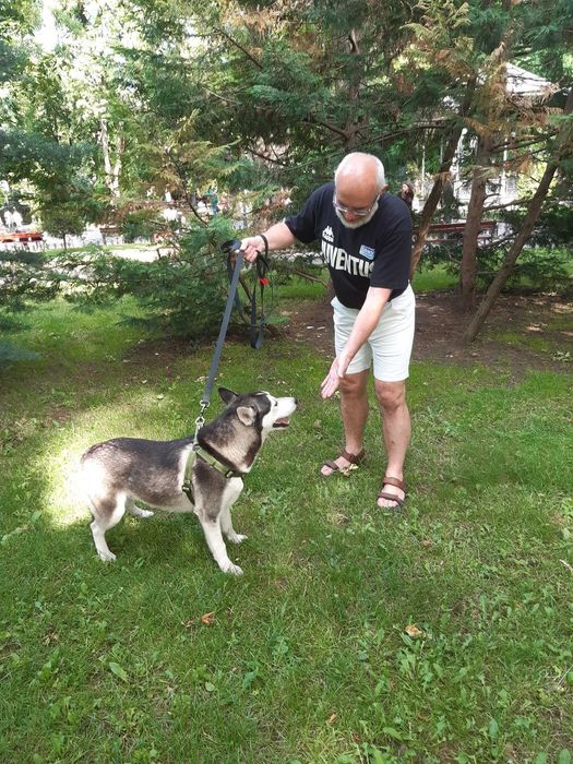 Передержка животных