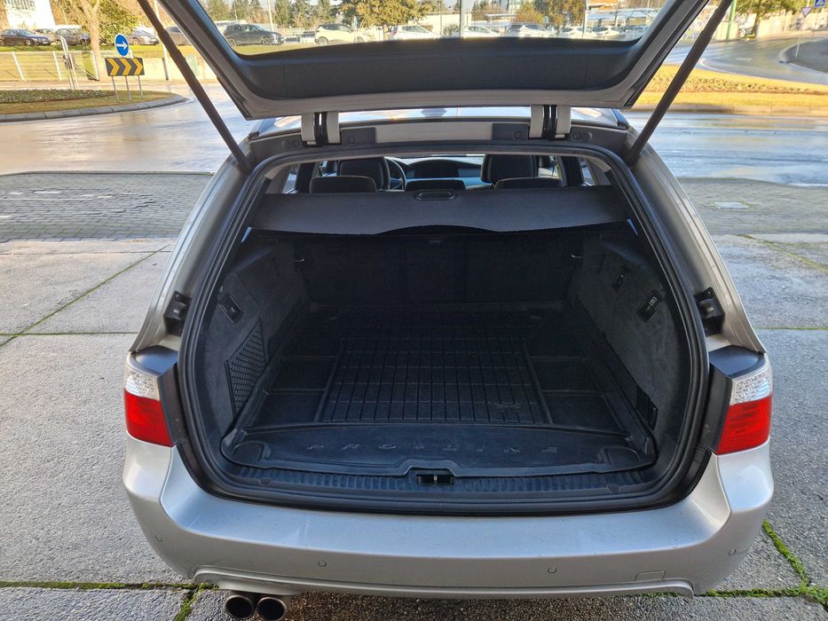 Procuro novo dono que me trate tão bem como este