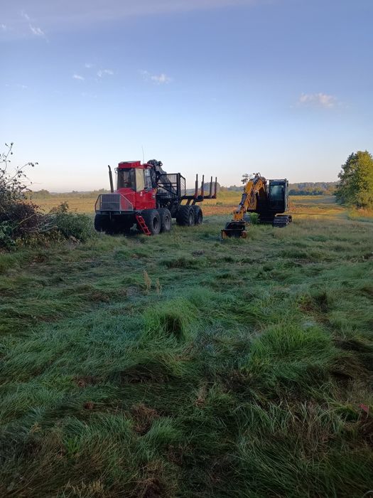 Ścinka drzew mulczer czyszczenie działek samosiewy