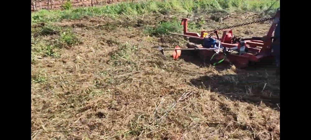 Serviços agriculas,corta mato,limpeza de terrenos e quintais..
