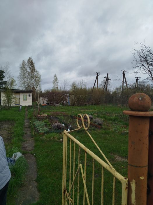 Дача тетерівський масив