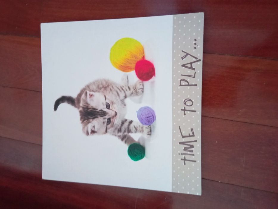 Telas de gatinhos64550495710593120