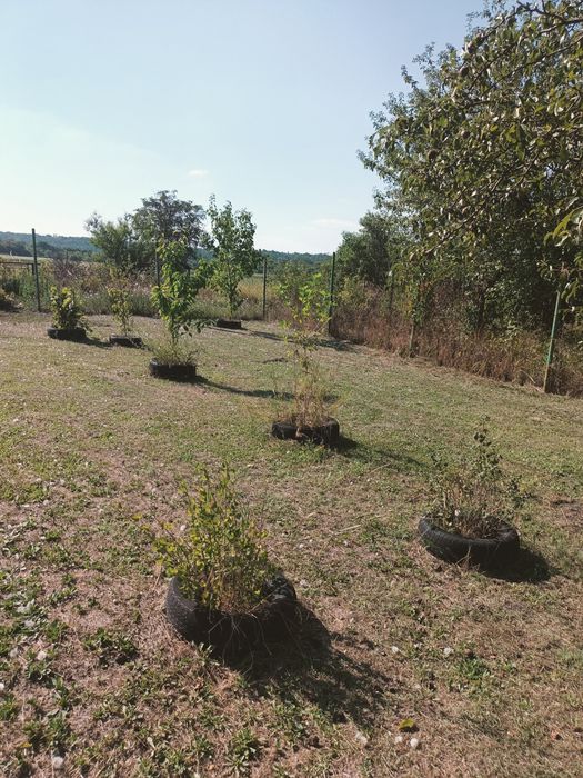 Продаётся дачный участок с домом. Обмен на бус ( фургон )