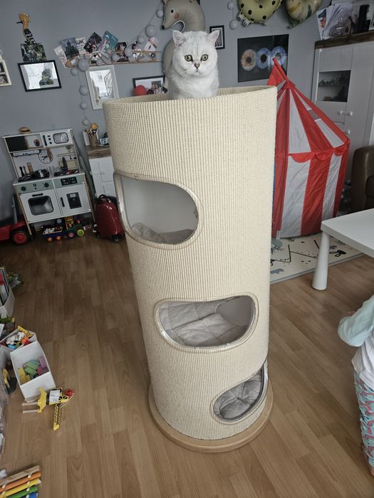 Td3 td-3 rufi drapaki wieża premium drapak dla kota