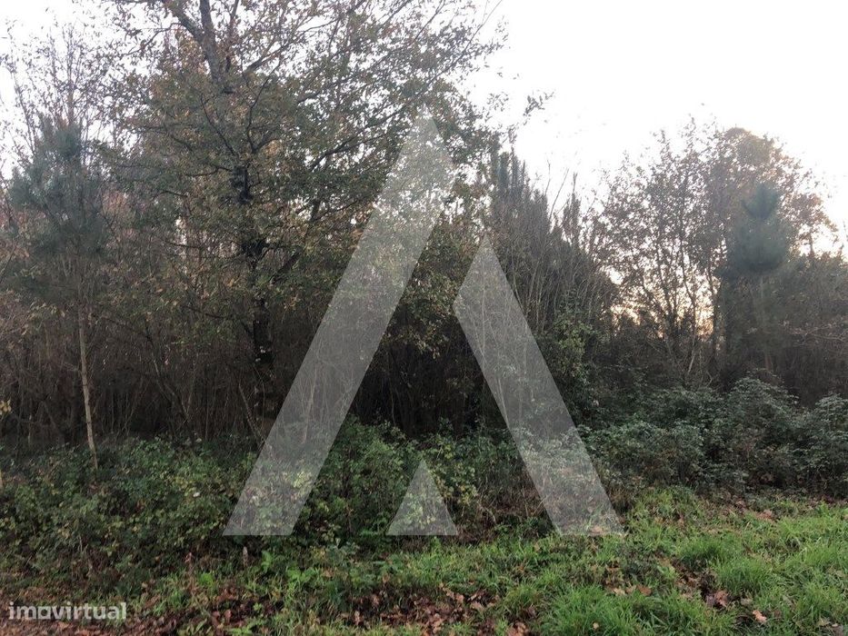 Terreno rústico localizado numa zona industrial em Valongo do Vouga