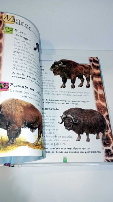 365 curiosidades Animais