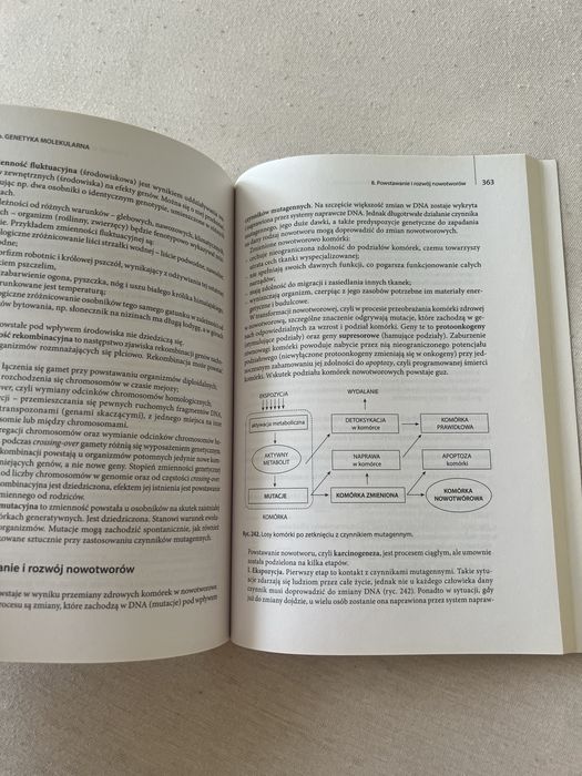 Vademecum maturzysty biologia Ewa Pyłka-Gutowska adamantan podręcznik