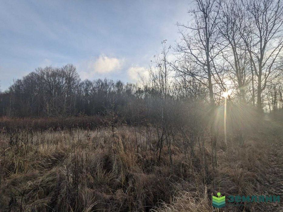 Дачна ділянка Ст Мочари 12 сот (9)