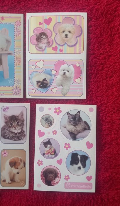 Conjunto de 6 Cromos Perfect Pets