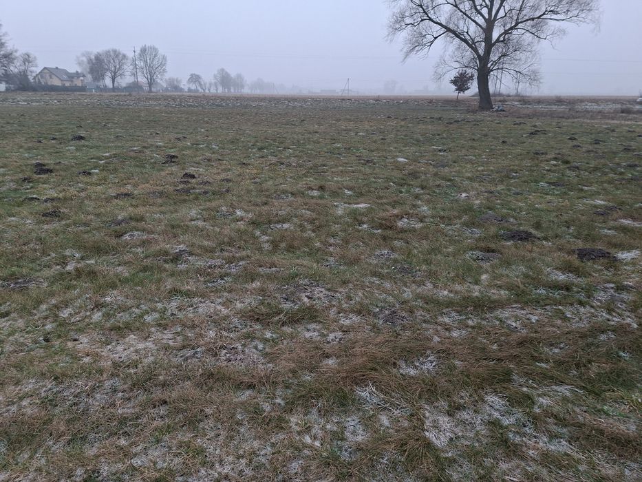Działki budowlane Liszkowice ,gmina Rojewo