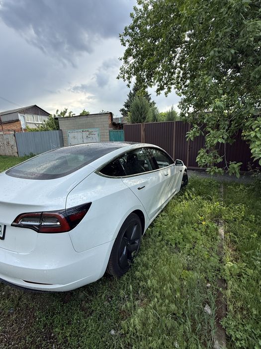 Сдам в аренду tesla model 3