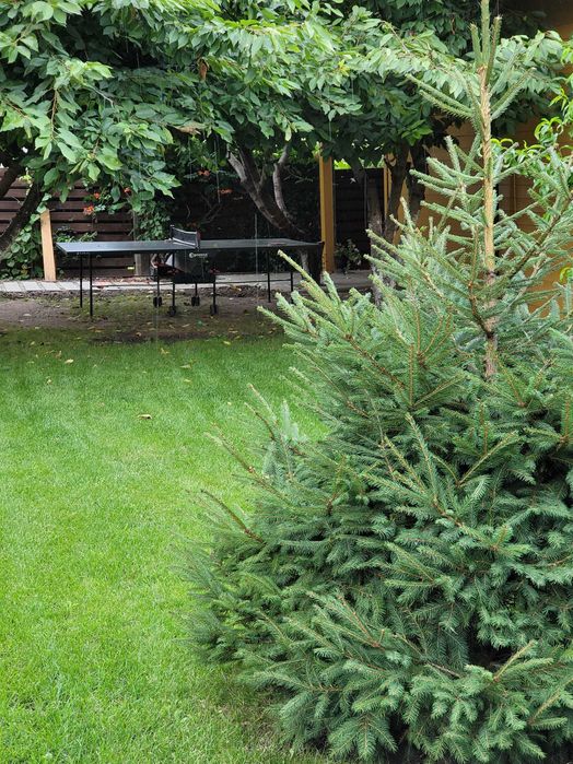 Сдам Дом  Посуточно / Баня на дровах Одесса. От хозяина