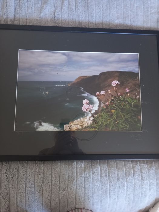 Quadro com fotografia natureza Sagres