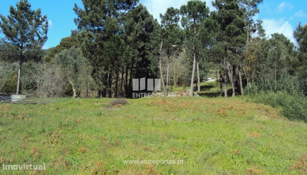 Venda Terreno, Mesquinhata, Baião