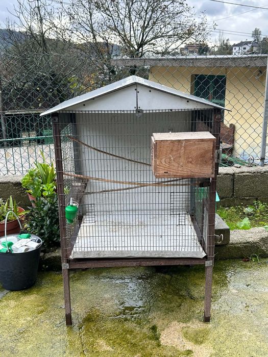 Vendo periquitos novos e gaiolas