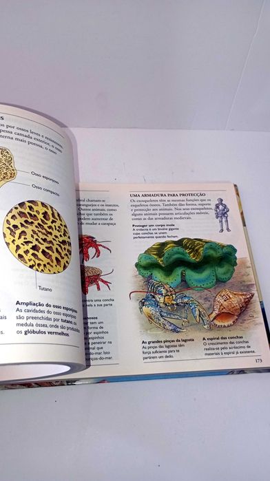 Descobrir - Enciclopédia do Mundo Natural