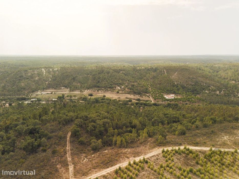 Quinta Florestal de 12,5 Hectares com Casa de Lavrador Centenária em B