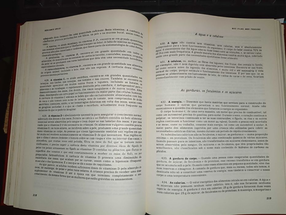 Meu filho, meu tesouro  Dr. Benjamin Spock, Dr. Michael B.Rothenberg
