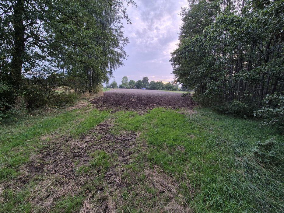 Działki z możliwością zabudowy - Widok 3