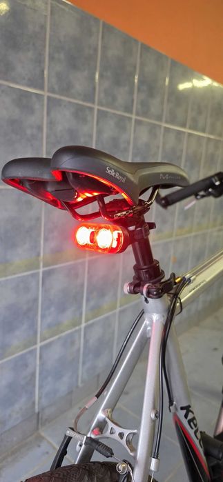 Rower MTB Kellys Salamander 26