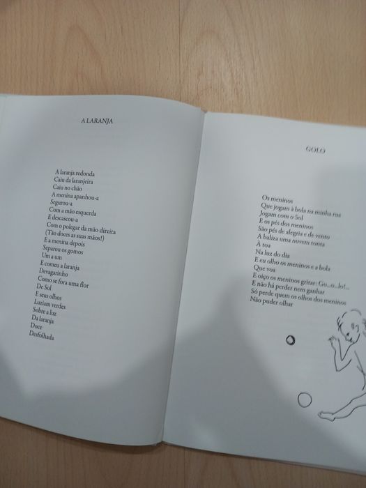 Livro "Misterios"