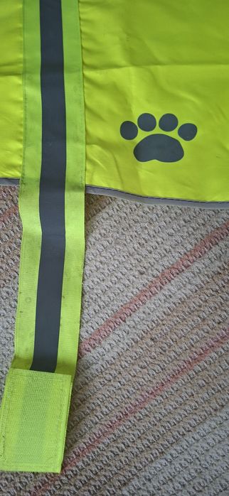 Дощовик для великого собаки