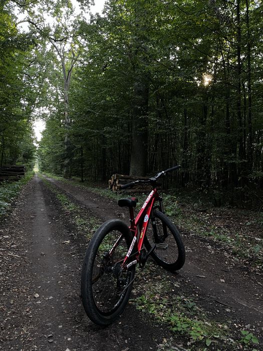 Dartmoor Streetfighter 2020 (stunt)