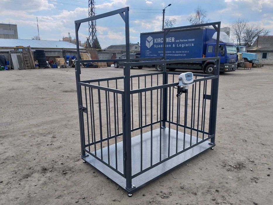 Весы для телят, коров, бычков, ВРХ, животных