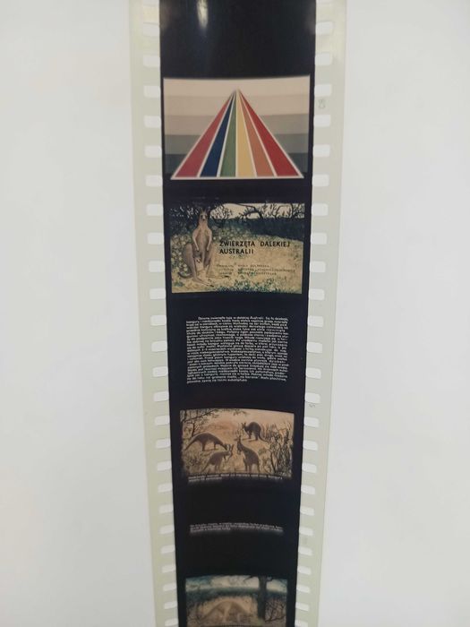 Bajka na rzutnik Ania Jacek Zwierzęta dalekiej Australii