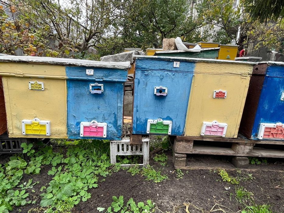 Продам улья для пчел