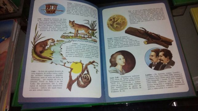 Coleção antiga de 6 livros enciclopédia ilustrada infanto juvenil
