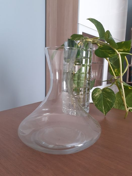Glass Decanter442503517050644480