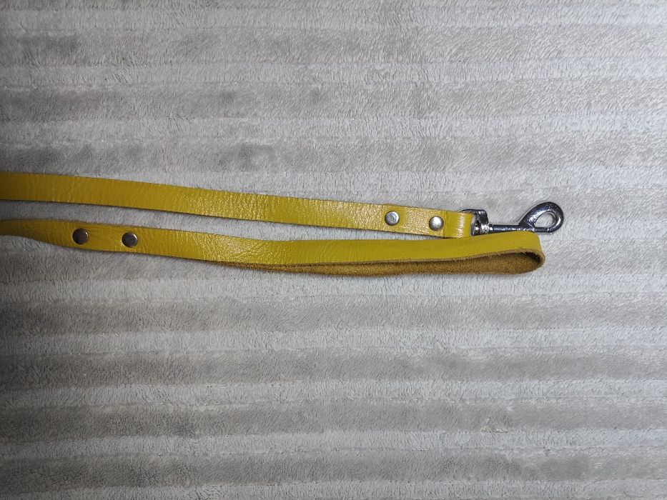 Проводок для собаки