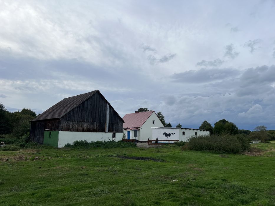 Gospodarstwo rolne 2,83ha/ Głęboczek - Widok 6