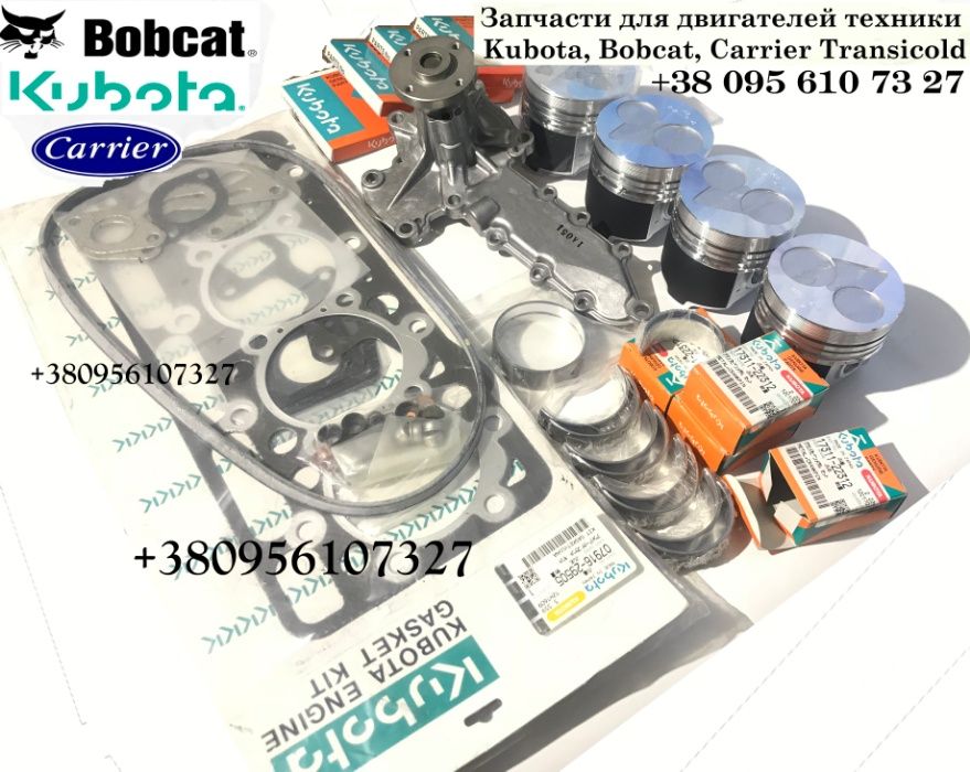 Ремкомплект, запчастини двигуна Kubota V2203, Bobcat, Carrier Vector