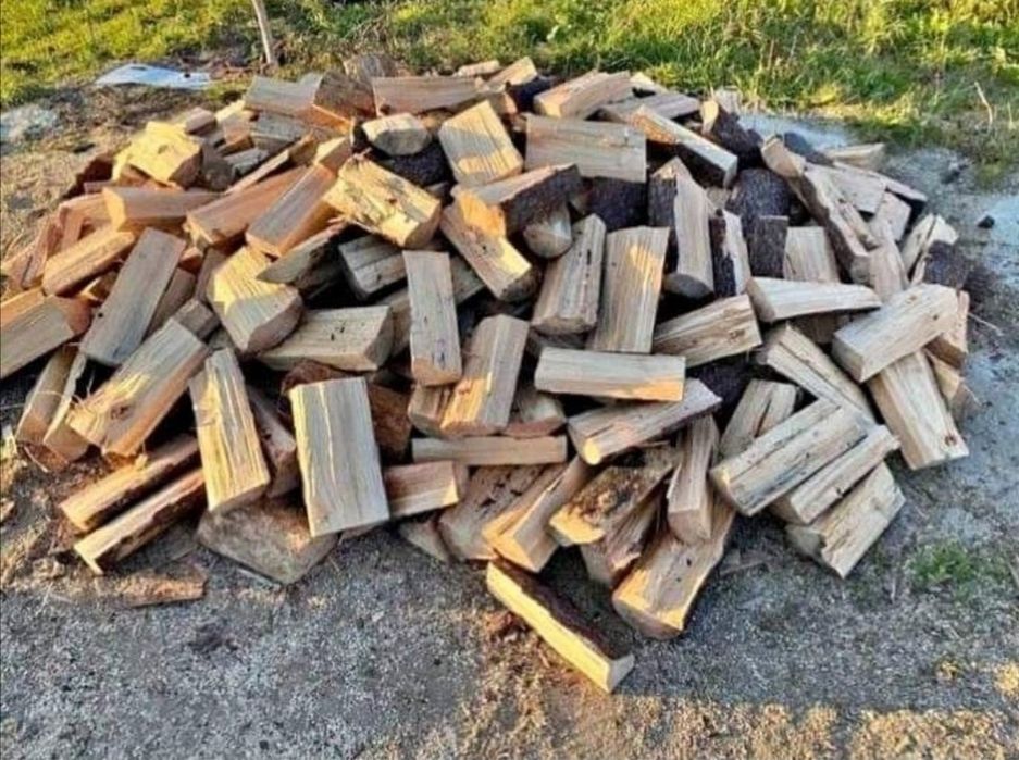 Vendo lenha seca