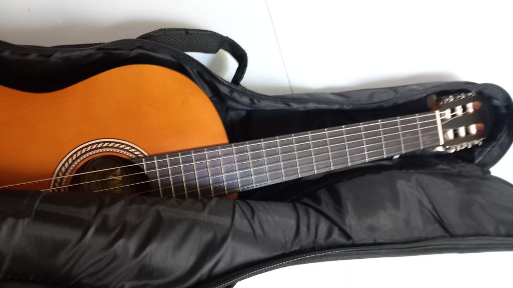Guitarra  com saco