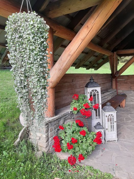 Domek w górach leśna bacówka, gorąca balia, ruska bania, domek w lesie