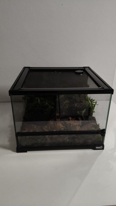 Terrários Giganterra