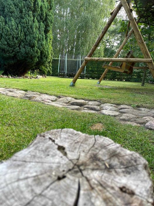 Zacisze Domek Nad Jeziorem Wilcze. Całoroczny. Grzyby. Ryby