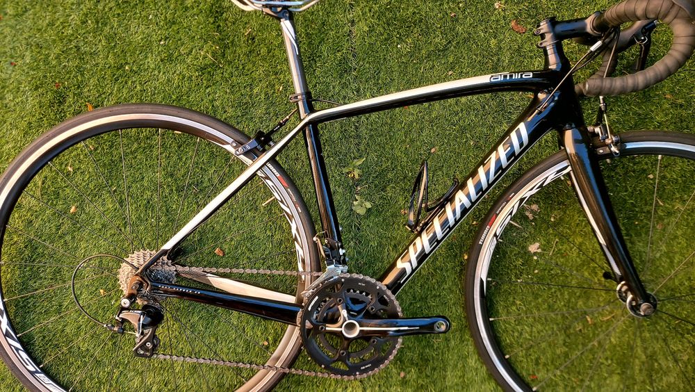 V..Specialized Altamira carbono oportunidade t51