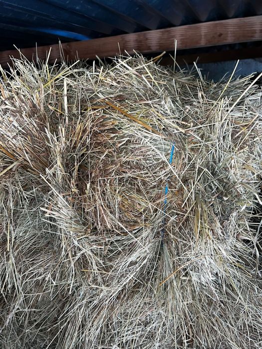 Fardos de feno dos pequenos