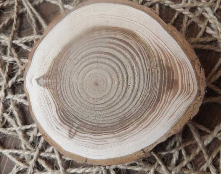 Спили, зрізи Ялиці, діаметром до 10 см  різної товщини