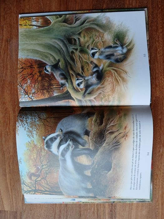 Os Animais Nossos Amigos, Livro Infantil
