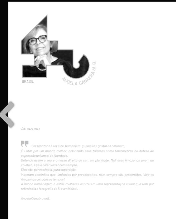 Quadro:: AMAZONAS - Ângela Canabrava
