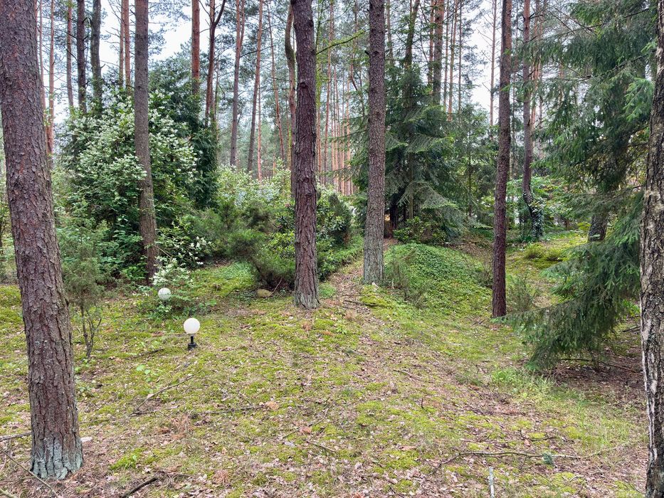 Działka budowlana, Las, Cisza, Spokój, 30min od Warszawy - Widok 2