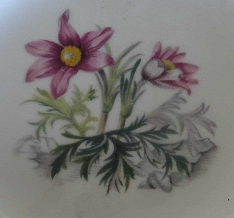 Prato Royal Worcester Fine Bone China England C51