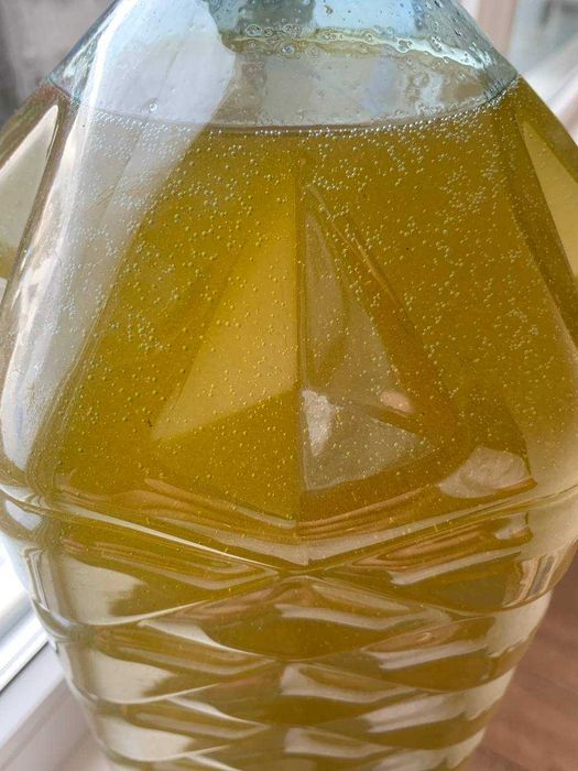 Домашня не рафінована оливкова олія Екстра вірджин (гурт та роздріб)